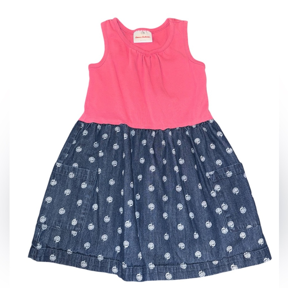Hanna Andersson Dress